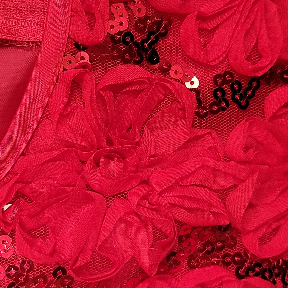 GIRLS HOLIDAY DRESS - Picture 3 of 6